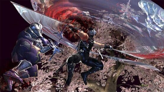 Ninja Gaiden II — screenshot 3