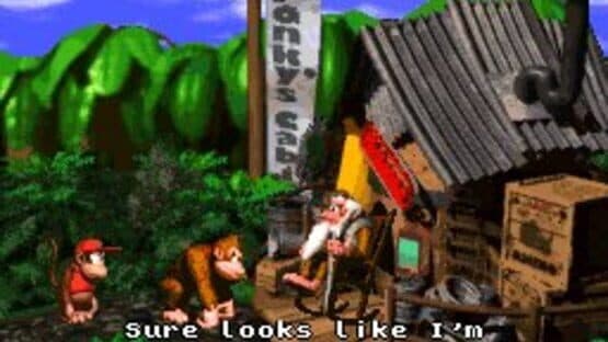 Donkey Kong Country — screenshot 5