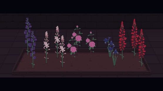 Eternal Home Floristry — screenshot 2