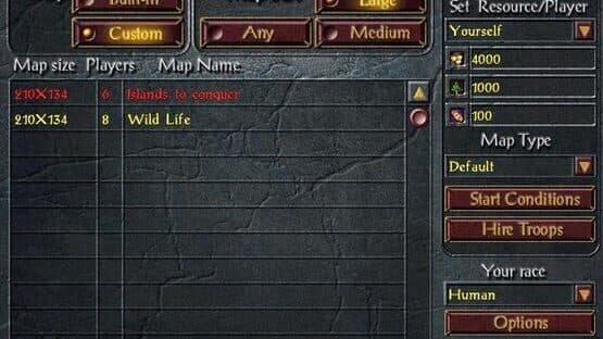 Rival Realms — screenshot 1