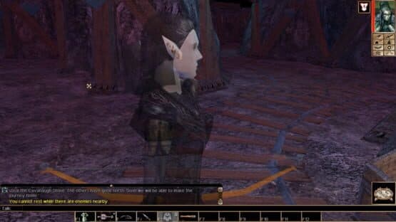 Neverwinter Nights: Witch's Wake — screenshot 3