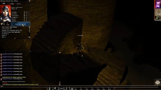Neverwinter Nights: Infinite Dungeons — screenshot 1