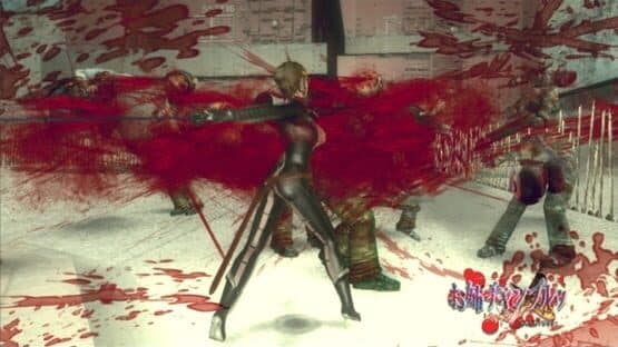 Onechanbara: Bikini Samurai Squad — screenshot 8