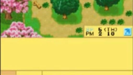 Harvest Moon DS Cute — screenshot 2