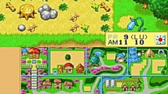 Harvest Moon DS — screenshot 2