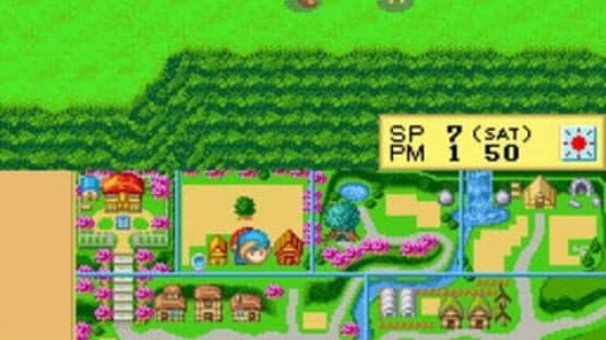 Harvest Moon DS — screenshot 3