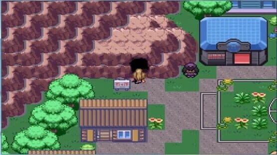 Pokémon Desolation — screenshot 1