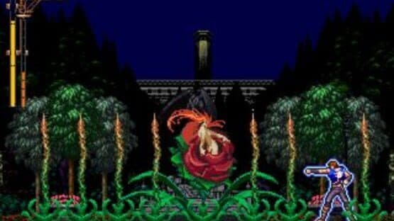 Silver Night's Crusaders — screenshot 1