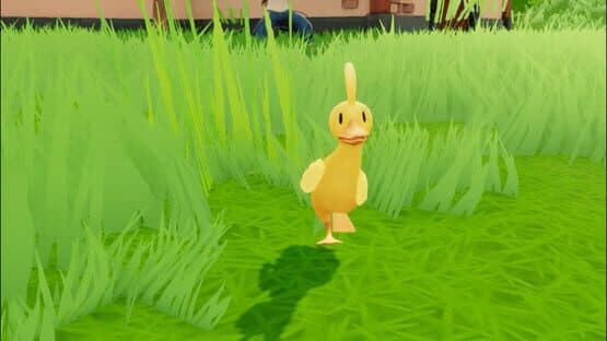 What the Duck — screenshot 3