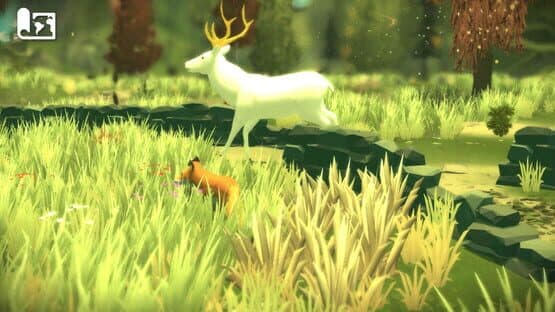 Foxen Island — screenshot 1