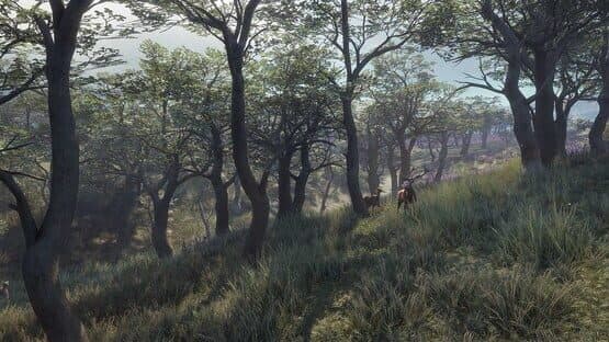 TheHunter: Call of the Wild - 2021 Edition — screenshot 3