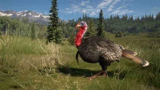 TheHunter: Call of the Wild - 2021 Edition — screenshot 5