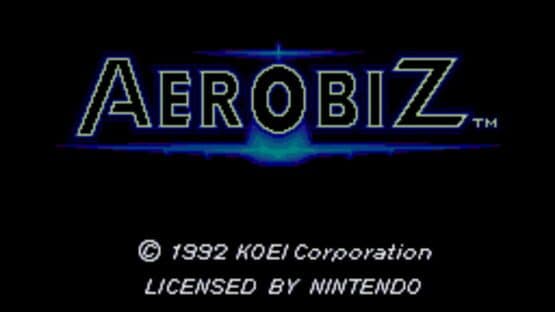 Aerobiz — screenshot 1