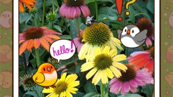 Tiny Bird Garden — screenshot 6