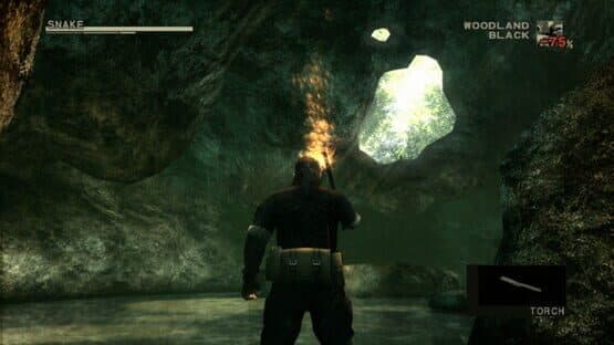 Metal Gear Solid HD Edition: 2 & 3 — screenshot 7