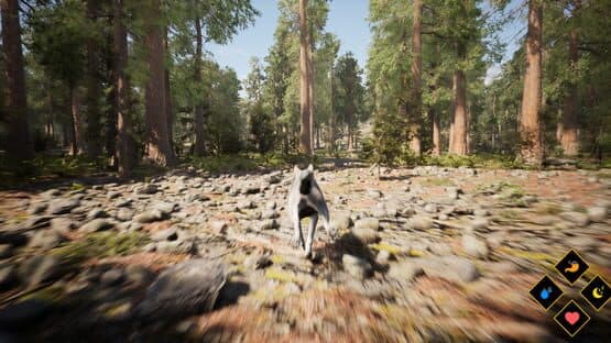 Wilderness — screenshot 4