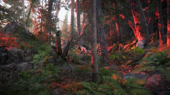 The Forest Cathedral — screenshot 1