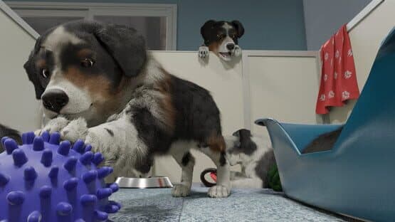 Dog Trainer — screenshot 1