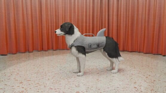 Dog Trainer — screenshot 4