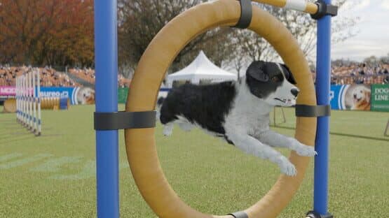 Dog Trainer — screenshot 5