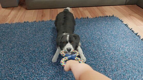 Dog Trainer — screenshot 6