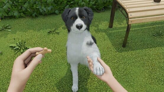 Dog Trainer — screenshot 7