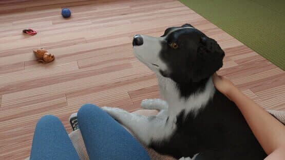 Dog Trainer — screenshot 8