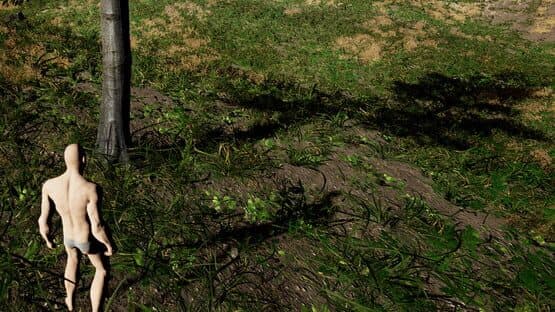 Survival Ascension — screenshot 1