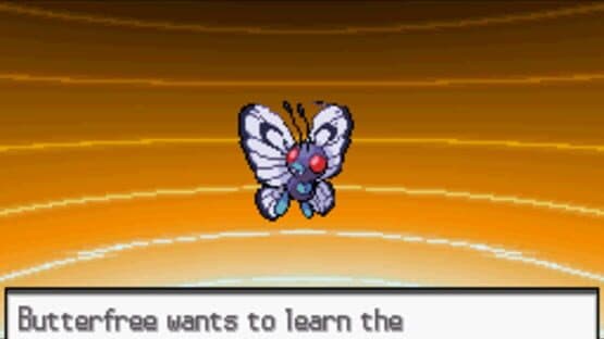 Pokémon Blaze Black — screenshot 3
