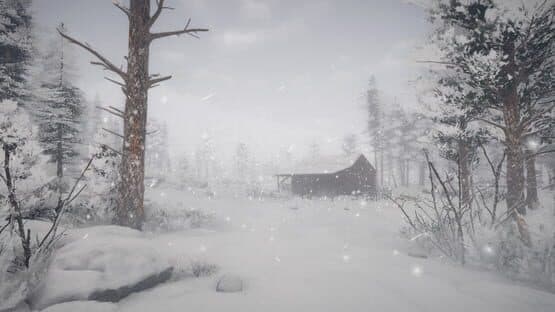 Northern Lights — screenshot 1