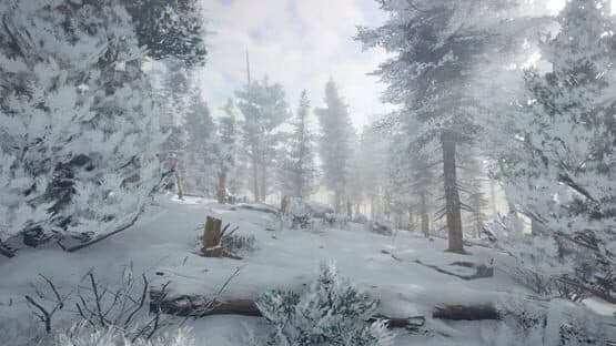 Northern Lights — screenshot 4