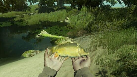 Professional Fishing — screenshot 4