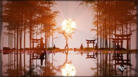 Ronin: Two Souls — screenshot 2