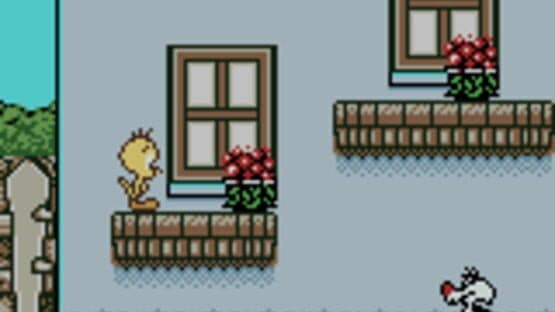 Tweety's High-Flying Adventure — screenshot 1