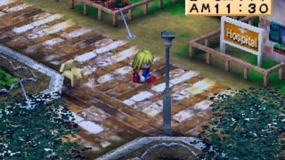 Harvest Moon for Girl — screenshot 3