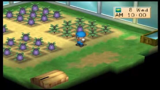 Harvest Moon: Boy & Girl — screenshot 1