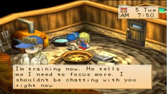 Harvest Moon: Boy & Girl — screenshot 3