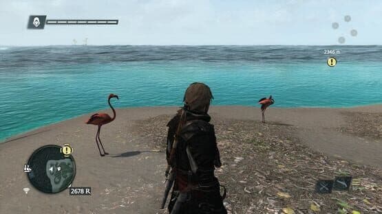 Assassin's Creed IV: Black Flag - Buccaneer Edition — screenshot 3