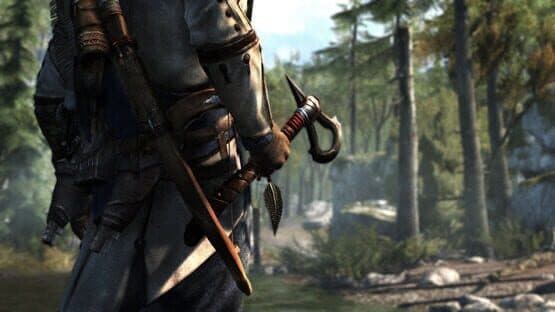 Assassin's Creed III: Ultimate Edition — screenshot 2