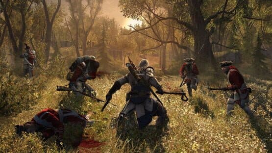 Assassin's Creed III: Ultimate Edition — screenshot 3