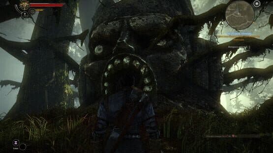 The Witcher 2: Assassins of Kings - Collector's Edition — screenshot 3