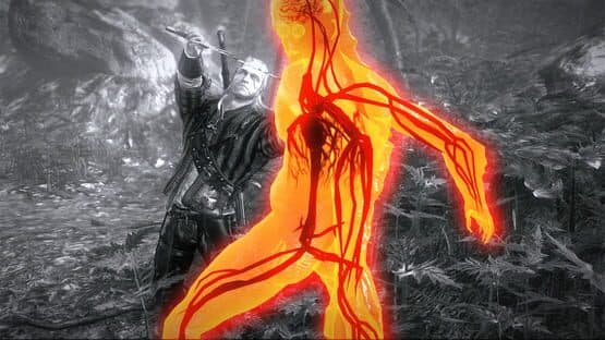 The Witcher 2: Assassins of Kings - Premium Edition — screenshot 2