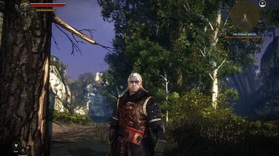 The Witcher 2: Assassins of Kings - Premium Edition — screenshot 3