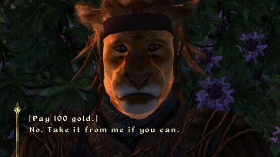 The Elder Scrolls IV: Oblivion - Spell Tomes — screenshot 2
