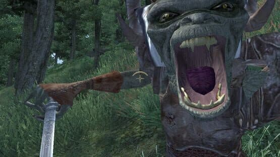 The Elder Scrolls IV: Oblivion 5th Anniversary Edition — screenshot 3