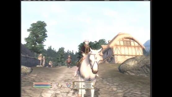 The Elder Scrolls IV: Oblivion - Horse Armor Pack — screenshot 1