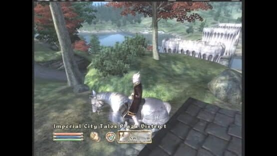 The Elder Scrolls IV: Oblivion - Horse Armor Pack — screenshot 3