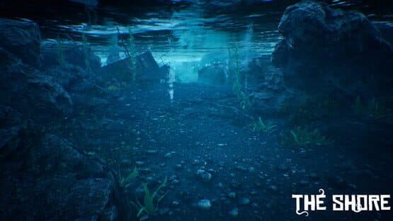 The Shore — screenshot 3