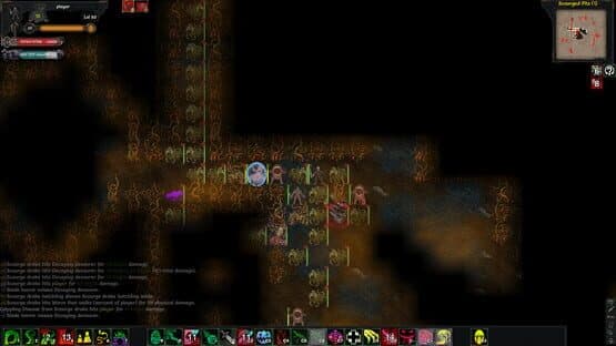 Tales of Maj'Eyal: Forbidden Cults — screenshot 1