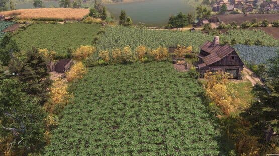 Farthest Frontier — screenshot 4